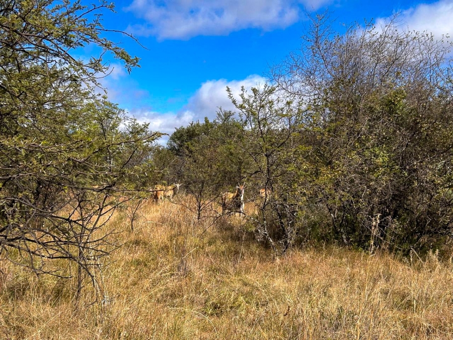 10 Bedroom Property for Sale in Parys Free State